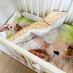 Junior sengesæt 100x140 cm - Kanin - Luna Denmark Kids