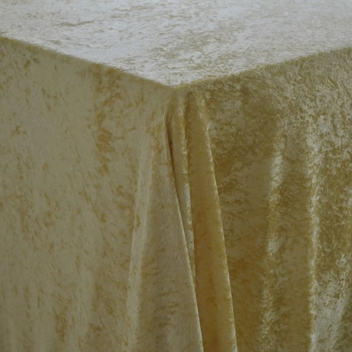 Nervøs velour dug - Guld dug